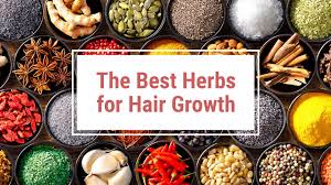 Ayuverdic herbs for hair growth